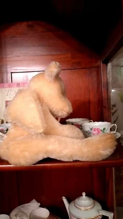 バレンタインテデイベア（フィギュア・プラモデル）の商品画像 - 査定依頼日：2025年4月12日