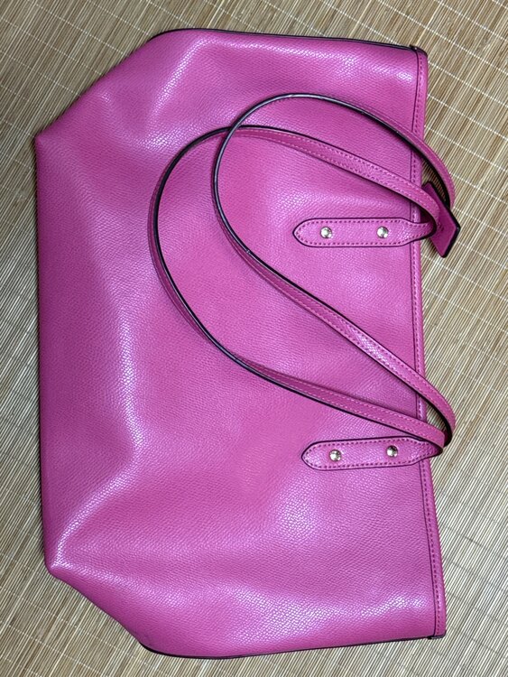 コーチ　バッグ（ブランドバッグ）の商品画像 - 査定依頼日：2025年4月19日 - 最高査定価格：3,000円