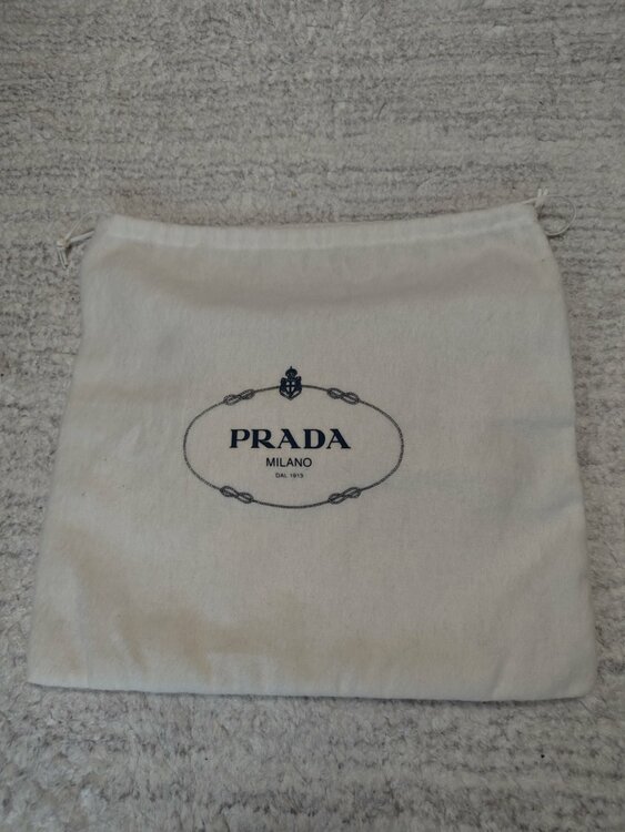 プラダ  （ブランドバッグ）の商品画像 - 査定依頼日：2026年2月23日 - 最高査定価格：50,000円