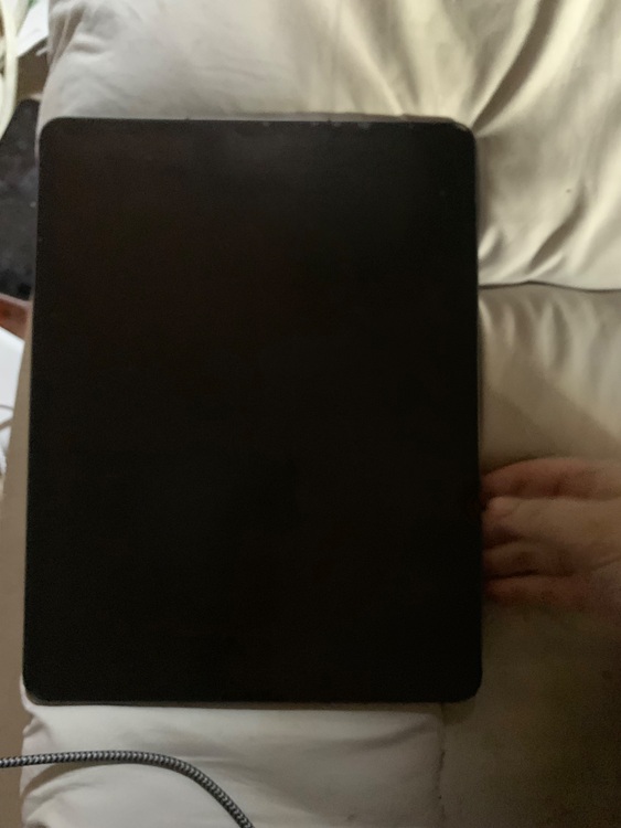 iPadPro 12.9インチ第5世代512gb WiFi＋セルラーモデル（PC・タブレット）の商品画像 - 査定依頼日：2025年11月14日 - 最高査定価格：75,000円