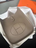 ミニエブリン（ブランドバッグ）の商品画像 - 査定依頼日：2025年8月24日 - 最高査定価格：400,000円