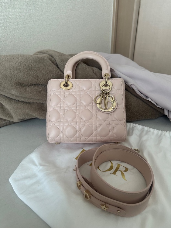 レディディオール（ブランドバッグ）の商品画像 - 査定依頼日：2026年2月6日 - 最高査定価格：250,000円