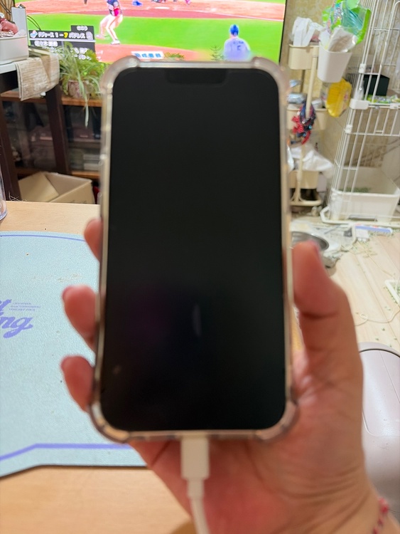 iPhone iPhone 13 Pro 512GB docomo（スマホ）の商品画像 - 査定依頼日：2026年6月28日 - 最高査定価格：62,500円