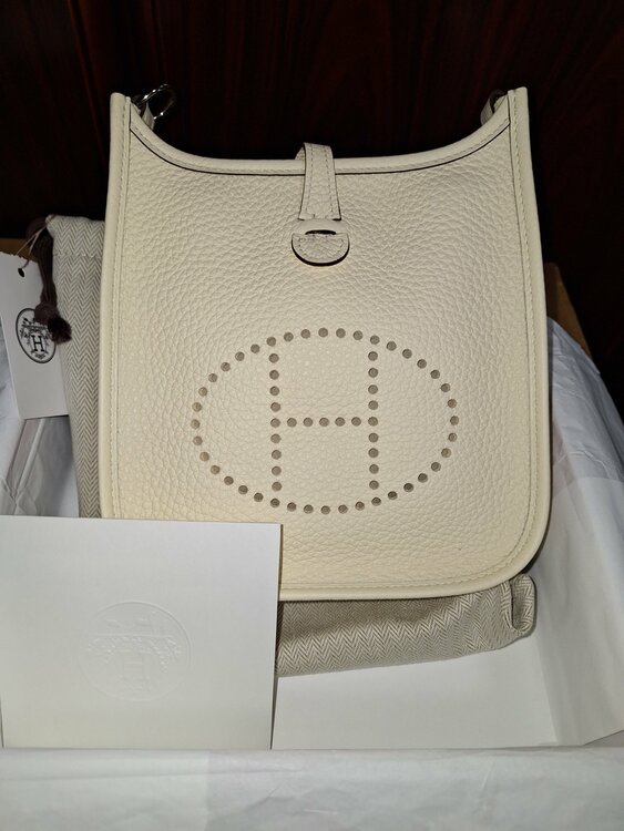 エルメス エブリン （ブランドバッグ）の商品画像 - 査定依頼日：2026年2月2日 - 最高査定価格：100,000円