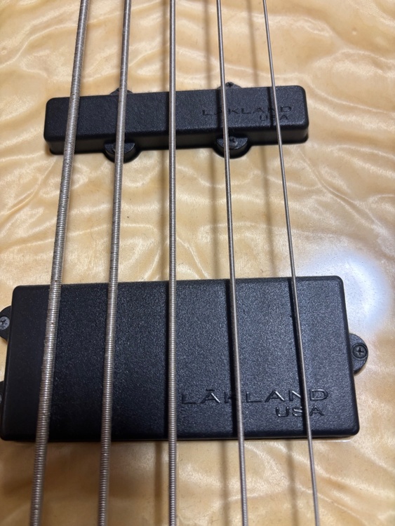 shoreline 5弦（ピアノ・楽器・PA機材）の商品画像 - 査定依頼日：2026年1月25日 - 最高査定価格：148,000円