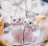 ブランデー ブランデー(その他) （お酒）の商品画像 - 査定依頼日：2025年1月31日 - 最高査定価格：8,000円