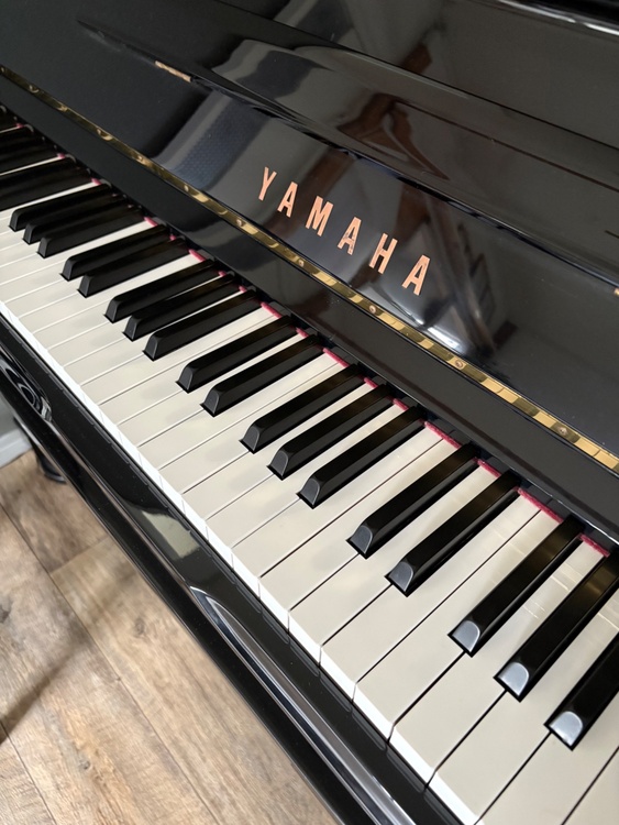 U10A（ピアノ・楽器・PA機材）の商品画像 - 査定依頼日：2026年5月22日 - 最高査定価格：77,000円