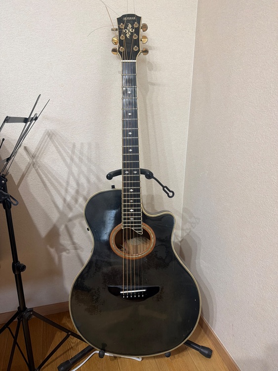 APX-10（ピアノ・楽器・PA機材）の商品画像 - 査定依頼日：2026年9月1日 - 最高査定価格：5,000円