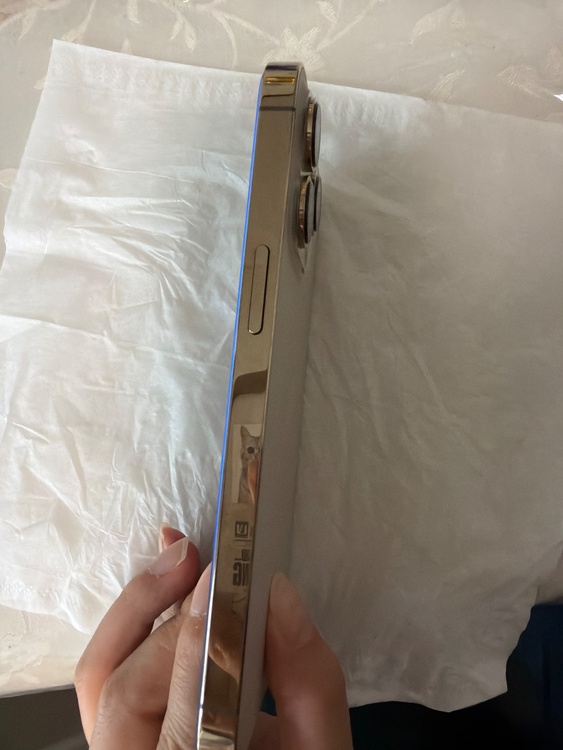 iPhone iPhone 13 Pro 256GB au（スマホ）の商品画像 - 査定依頼日：2026年8月22日 - 最高査定価格：53,000円