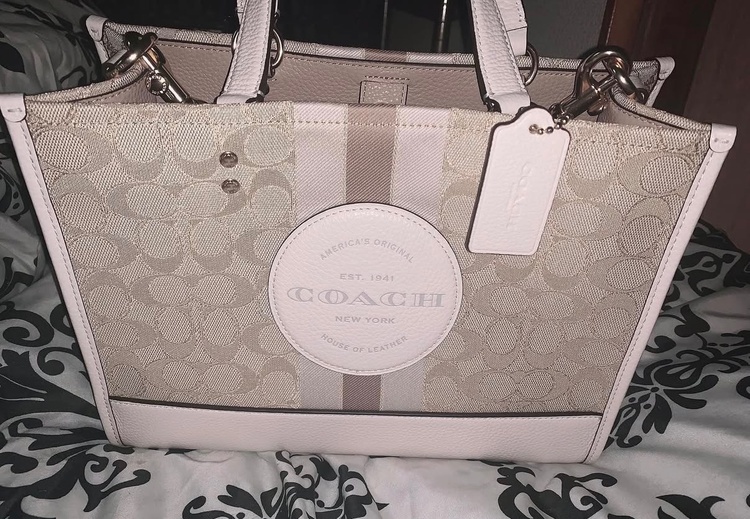 その他 コーチ （ブランドバッグ）の商品画像 - 査定依頼日：2026年1月6日 - 最高査定価格：5,000円