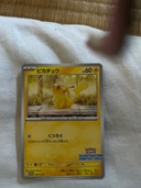 ポケモンカード（トレカ）の商品画像 - 査定依頼日：2025年6月30日 - 最高査定価格：1,000円