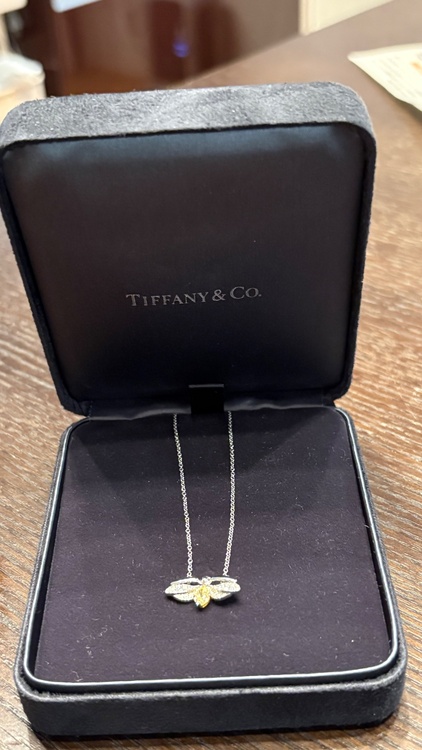 ティファニー TIFFANY＆CO（宝石）の商品画像 - 査定依頼日：2026年9月8日 - 最高査定価格：100,000円