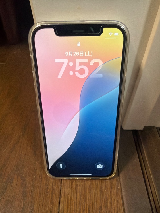 iPhone iPhone 12 Pro 256GB SIMフリー（スマホ）の商品画像 - 査定依頼日：2026年9月26日 - 最高査定価格：37,500円