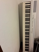 P-125（ピアノ・楽器・PA機材）の商品画像 - 査定依頼日：2026年4月12日 - 最高査定価格：3,000円