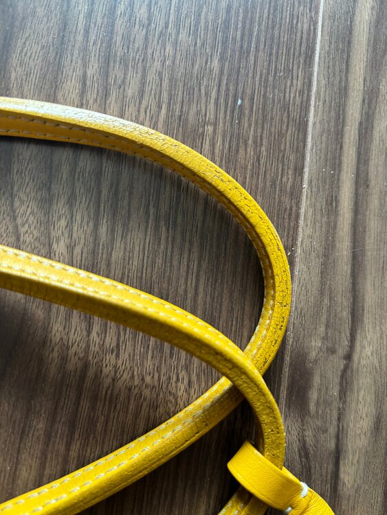 サンルイアンジュミニ（ブランドバッグ）の商品画像 - 査定依頼日：2025年2月15日 - 最高査定価格：200,000円