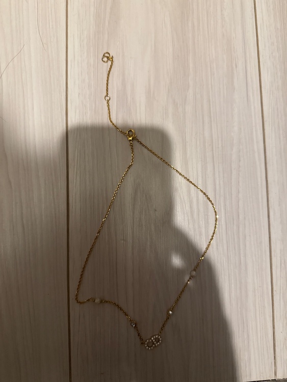 ディオール  （ブランドバッグ）の商品画像 - 査定依頼日：2026年2月15日 - 最高査定価格：40,000円