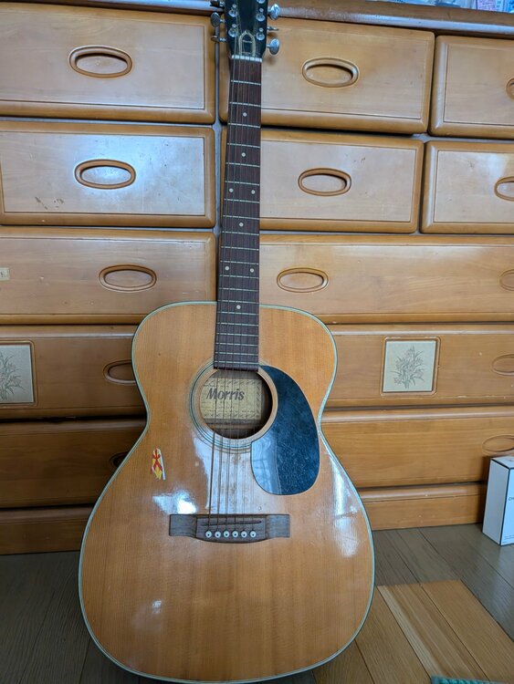 Morris F10（ピアノ・楽器・PA機材）の商品画像 - 査定依頼日：2026年8月16日 - 最高査定価格：5,000円
