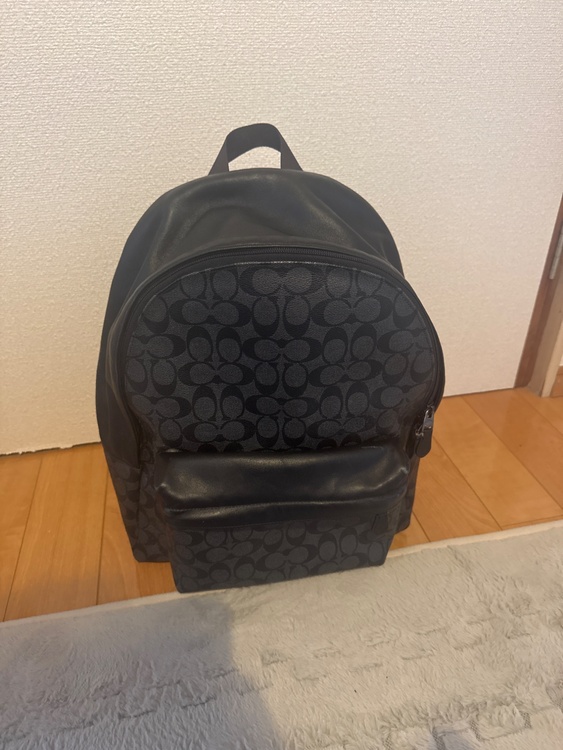 その他 コーチ （ブランドバッグ）の商品画像 - 査定依頼日：2026年1月26日 - 最高査定価格：5,000円