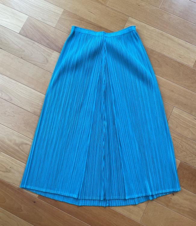 スカート（古着・ファッション）の商品画像 - 査定依頼日：2026年3月6日 - 最高査定価格：3,000円