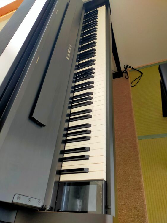 ca9900gp（ピアノ・楽器・PA機材）の商品画像 - 査定依頼日：2025年10月17日 - 最高査定価格：3,000円