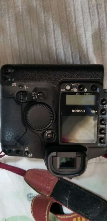 Canon EOS 1D MarkII キヤノン（カメラ）の商品画像 - 査定依頼日：2026年4月15日 - 最高査定価格：15,100円