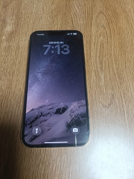 iPhone iPhone 13 Pro Max 256GB docomo（スマホ）の商品画像 - 査定依頼日：2026年9月30日 - 最高査定価格：64,000円
