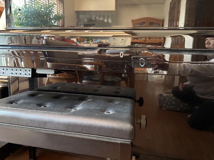 U1H2019712（ピアノ・楽器・PA機材）の商品画像 - 査定依頼日：2026年1月19日 - 最高査定価格：10,000円