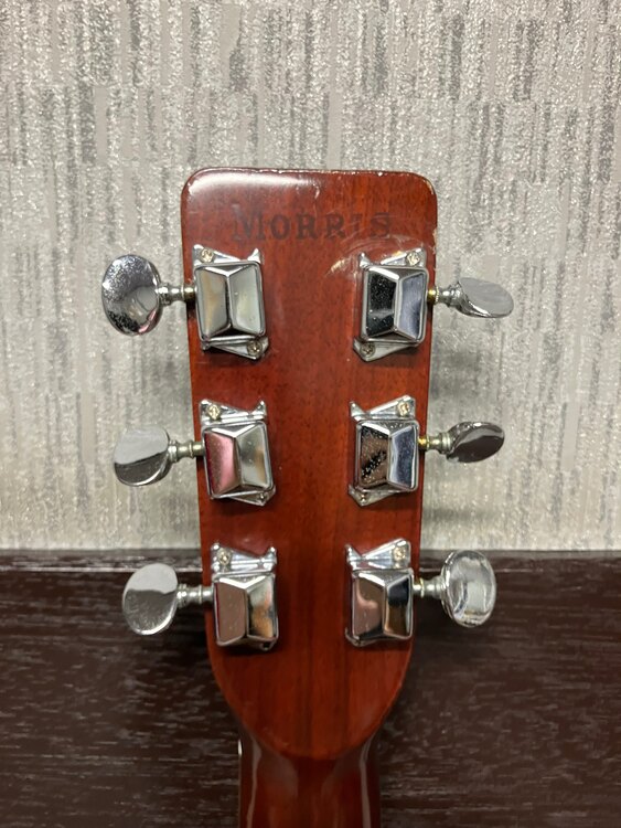 Morris W-20 アコースティックギター（ピアノ・楽器・PA機材）の商品画像 - 査定依頼日：2024年11月15日