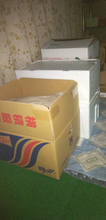 ノーブランドの和食器と洋食器と漆器（食器）の商品画像 - 査定依頼日：2025年12月14日 - 最高査定価格：10,000円