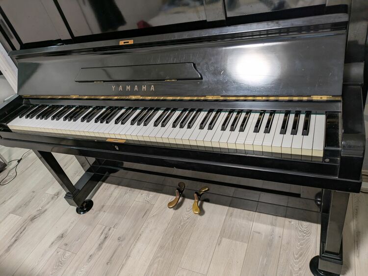 u-2 146231（ピアノ・楽器・PA機材）の商品画像 - 査定依頼日：2025年9月17日 - 最高査定価格：5,000円