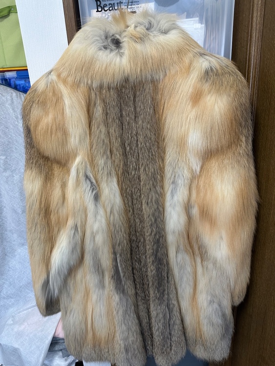 ゴールデンアイスランドフォックス（古着・ファッション）の商品画像 - 査定依頼日：2026年4月3日 - 最高査定価格：10,000円