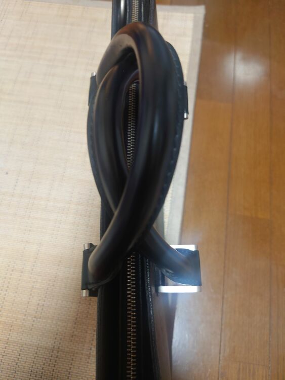 ルイヴィトン タイガ （ブランドバッグ）の商品画像 - 査定依頼日：2025年6月20日 - 最高査定価格：45,000円