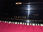 U3 G 1262977（ピアノ・楽器・PA機材）の商品画像 - 査定依頼日：2025年11月13日 - 最高査定価格：10,000円