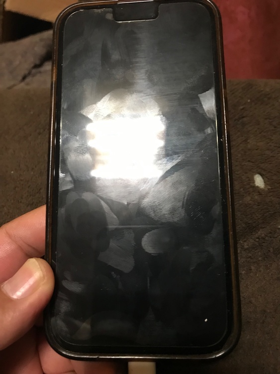 iPhone iPhone 15 256GB Softbank（スマホ）の商品画像 - 査定依頼日：2026年9月20日 - 最高査定価格：75,000円