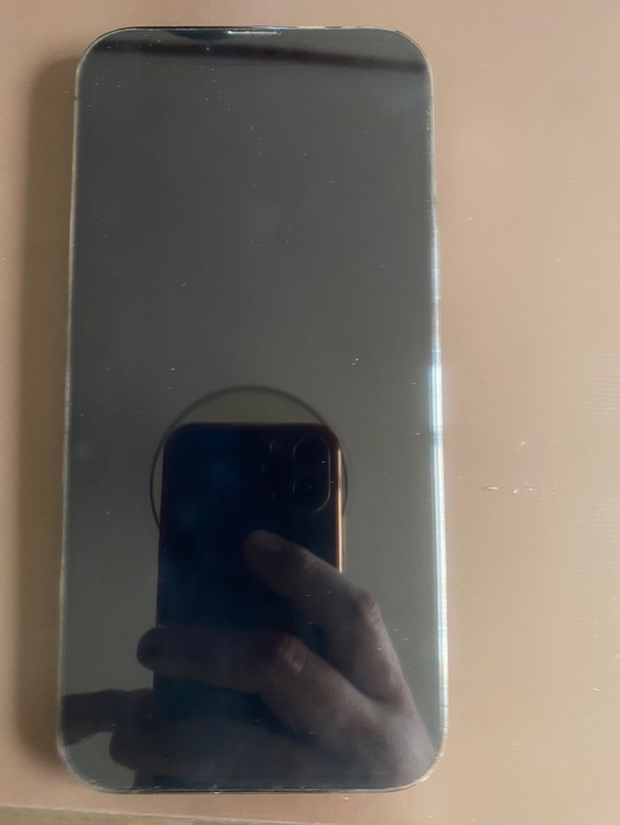 iPhone 13 Pro Max 256GB au（スマホ）の商品画像 - 査定依頼日：2026年1月25日 - 最高査定価格：61,000円