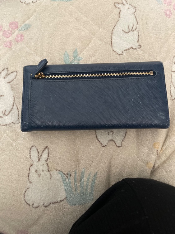 プラダ  （ブランドバッグ）の商品画像 - 査定依頼日：2025年11月8日 - 最高査定価格：25,000円