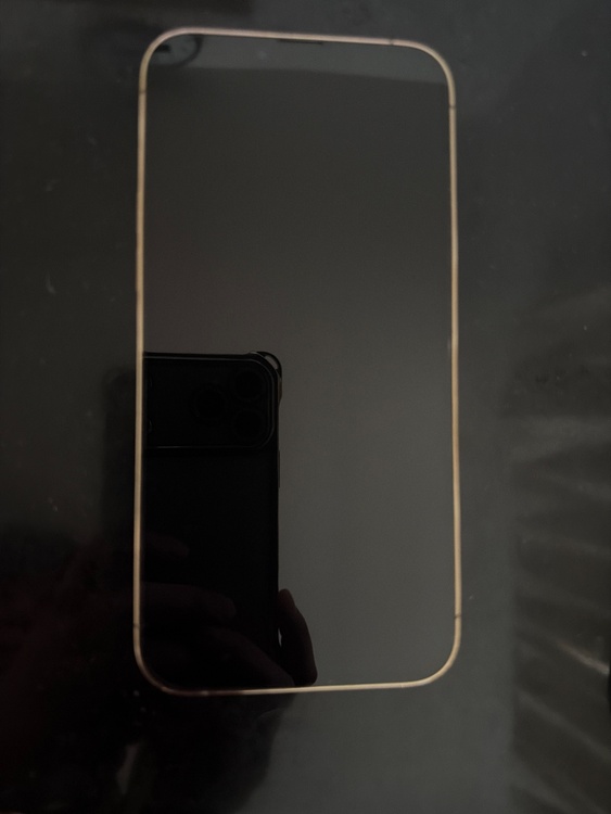 iPhone 13 Pro Max 256GB SIMフリー（スマホ）の商品画像 - 査定依頼日：2026年4月30日 - 最高査定価格：61,000円