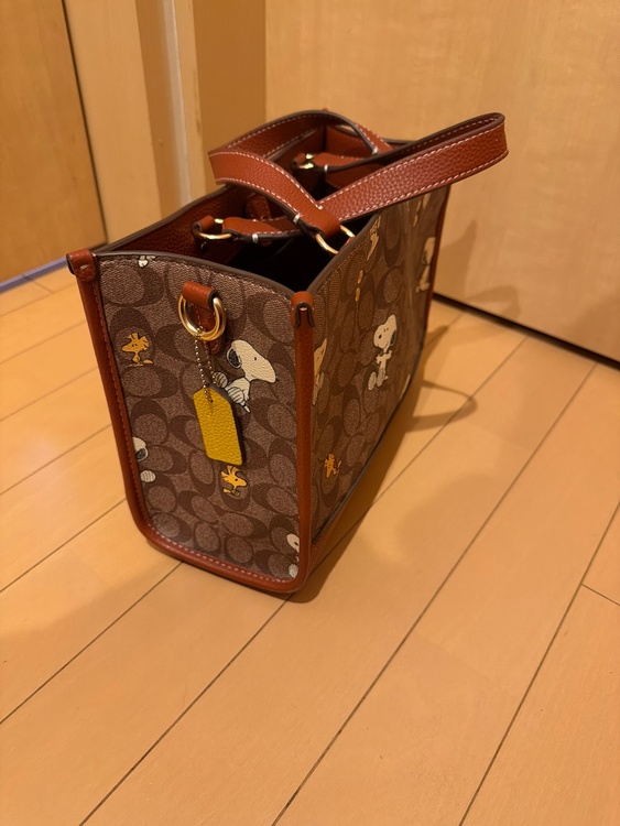 その他 コーチ （ブランドバッグ）の商品画像 - 査定依頼日：2026年3月20日 - 最高査定価格：5,000円