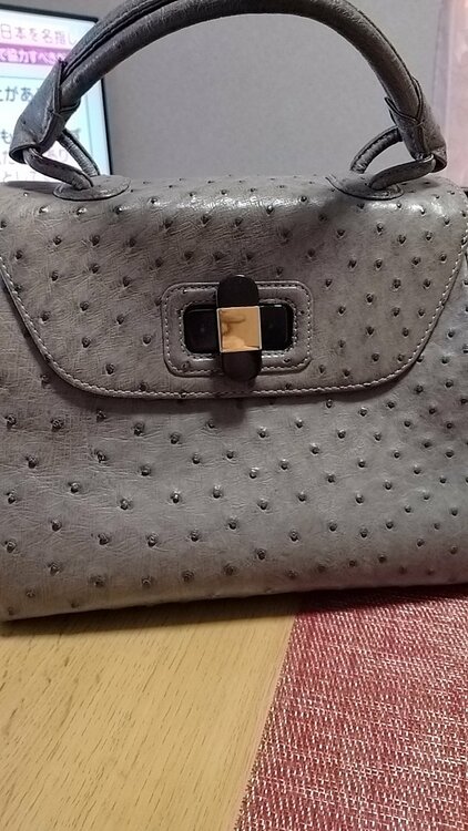 ハマノオーストリッチ押型ハンドバッグ（ブランド財布・小物）の商品画像 - 査定依頼日：2026年3月24日 - 最高査定価格：2,000円