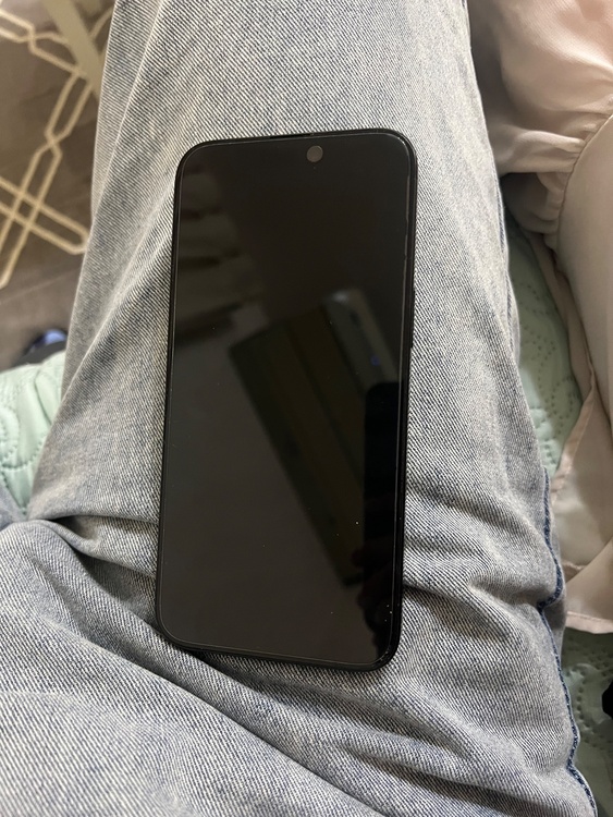 iPhone iPhone 15 Pro Max 256GB 楽天モバイル（スマホ）の商品画像 - 査定依頼日：2026年9月20日 - 最高査定価格：107,500円