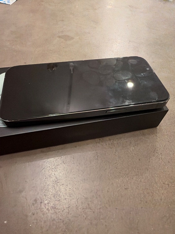 iPhone iPhone 13 Pro 256GB SIMフリー（スマホ）の商品画像 - 査定依頼日：2026年9月21日 - 最高査定価格：48,500円