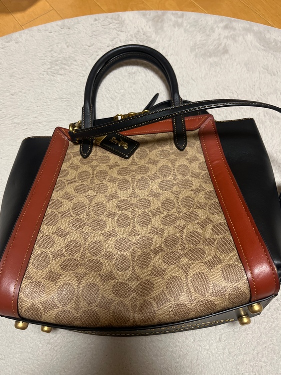 分からない（ブランドバッグ）の商品画像 - 査定依頼日：2026年8月6日 - 最高査定価格：3,000円
