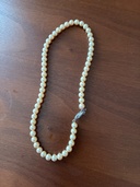 ネックレス（宝石）の商品画像 - 査定依頼日：2026年1月17日 - 最高査定価格：20,000円