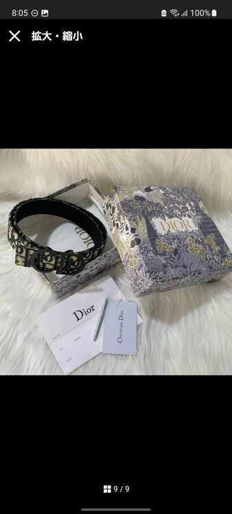 ディオール  （ブランドバッグ）の商品画像 - 査定依頼日：2025年9月18日 - 最高査定価格：45,000円