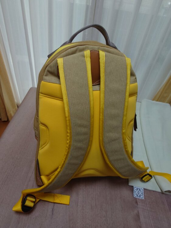 ロエベ　キャンパス地デイバッグ（ブランドバッグ）の商品画像 - 査定依頼日：2026年4月20日 - 最高査定価格：58,000円