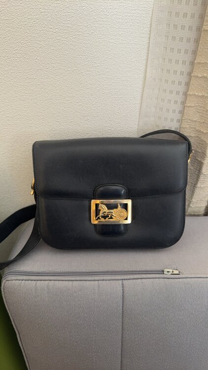 セリーヌ  （ブランドバッグ）の商品画像 - 査定依頼日：2025年1月28日 - 最高査定価格：22,000円