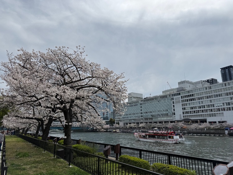 EOSD70（カメラ）の商品画像 - 査定依頼日：2026年4月18日 - 最高査定価格：36,000円