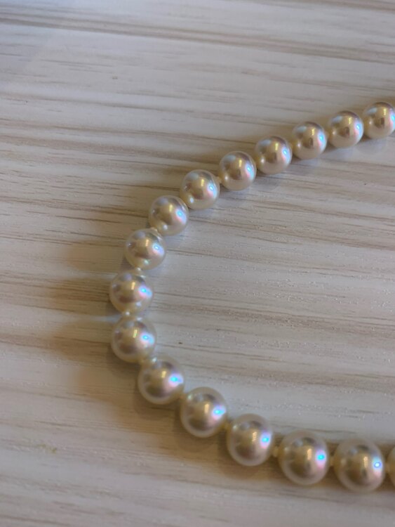 パールネックレス　イニシャルM入り（宝石）の商品画像 - 査定依頼日：2025年3月8日 - 最高査定価格：100,000円