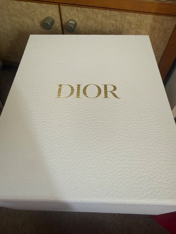 レディディオール（ブランドバッグ）の商品画像 - 査定依頼日：2026年2月24日 - 最高査定価格：330,000円