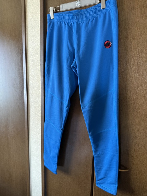 MAMMUT Denali Tights(europe L)（古着・ファッション）の商品画像 - 査定依頼日：2026年5月2日 - 最高査定価格：2,000円